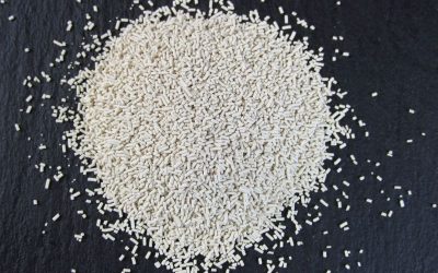 Yeast Comparison and Substitution