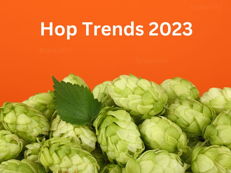 Hop Trends 2023