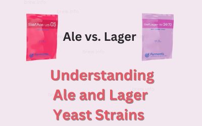 Yeast Essentials – Understanding Ale and Lager Yeast Strains