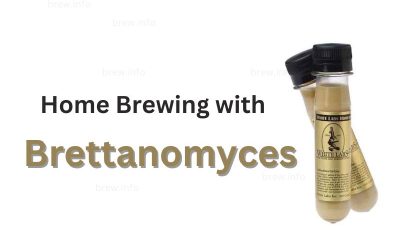 Home Brewing with Brettanomyces