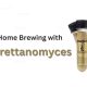 Home Brewing with Brettanomyces brew top Brettanomyces 1