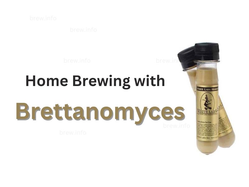 Home Brewing with Brettanomyces
