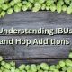 brew Understanding IBUs and Hop Additions 1