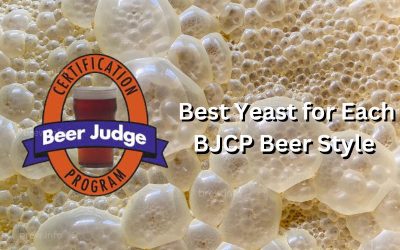 Exploring the Best Yeast for Each BJCP Beer Style