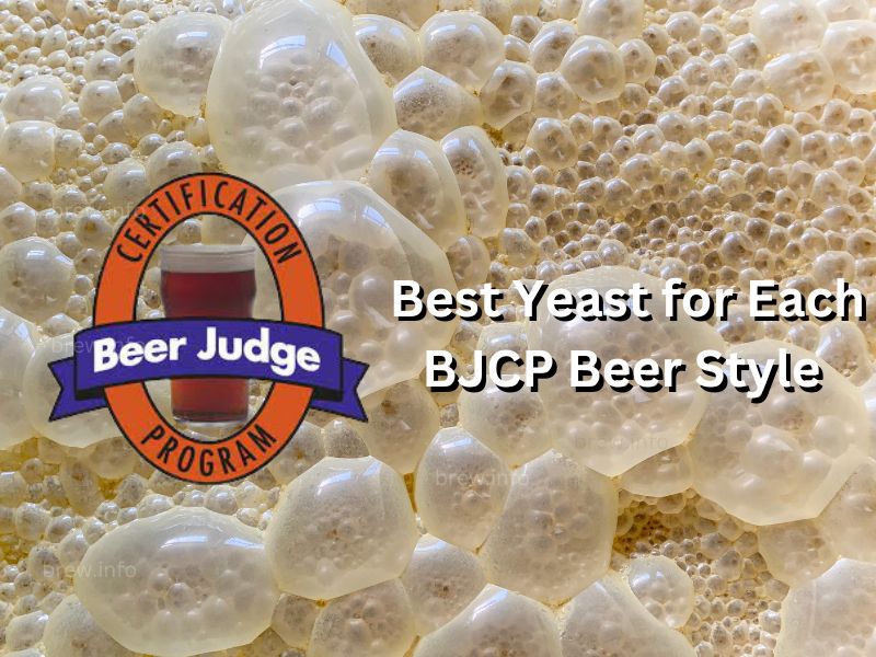 Exploring the Best Yeast for Each BJCP Beer Style
