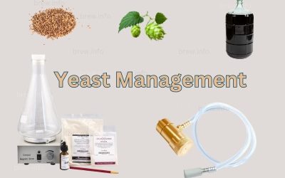 Yeast Management – Handling, Storage, and Reuse