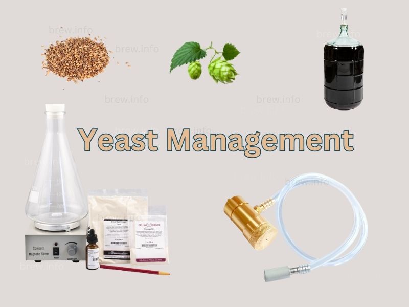Yeast Management – Handling, Storage, and Reuse
