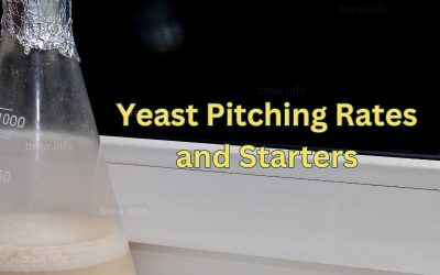 Yeast Pitching Rates and Starters – Ensuring a Healthy Fermentation
