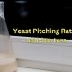 brew info Yeast Pitching Rates and Starters 1