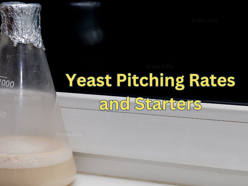 Yeast Pitching Rates and Starters – Ensuring a Healthy Fermentation