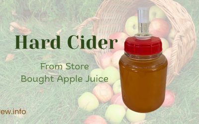 Hard Cider From Store-Bought Apple Juice and the Role of Malic Acid