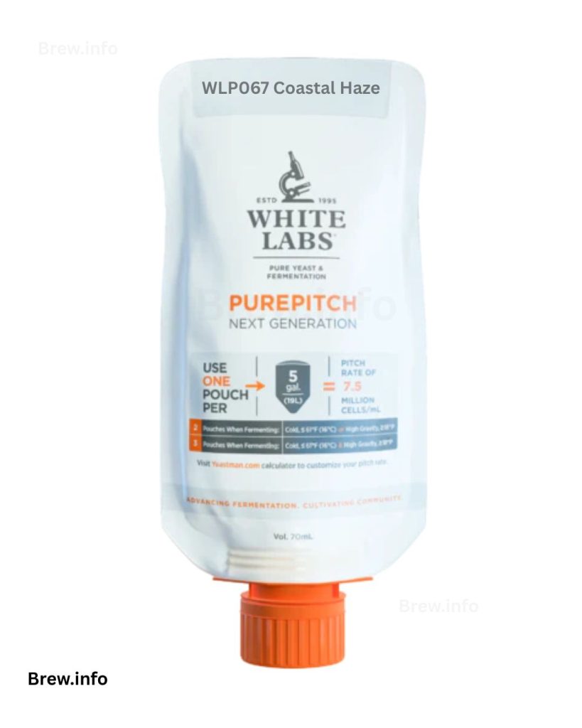 WLP067 Coastal Haze